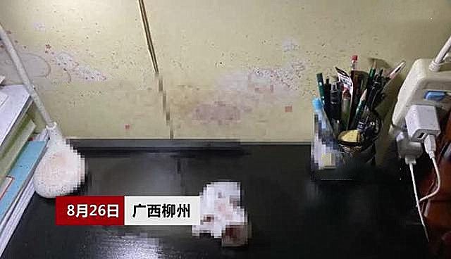 开元棋脾官网广西一女租客起床发现天花板滴血家中还弥漫着腥臭味警方介入(图1)